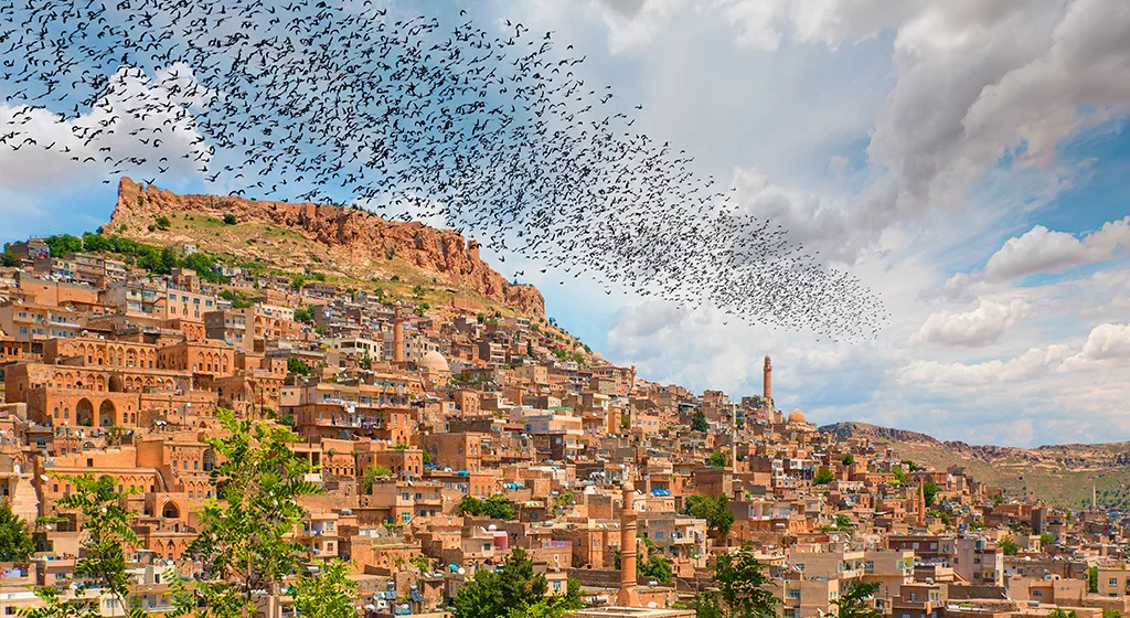 Gap Turları