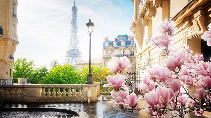 Benelüx Paris Turları