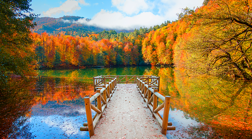 Yedigöller Gölcük  Ormanya Sapanca Maşukiye