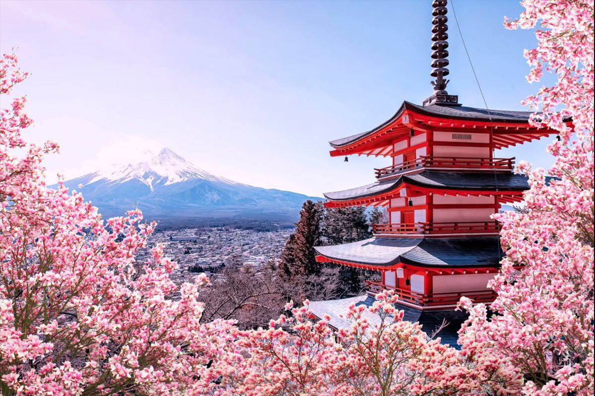 Sakura Döneminde Amasya hareketli Japonya Turu